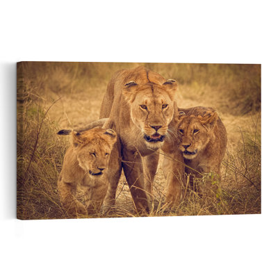 Lioness And Cubs Contemporary Cat Lion Nature Wildlife Wall Art Print 1 Piece Wrapped Canvas Wall Art