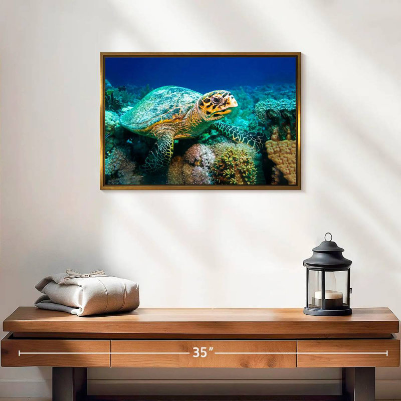 Tortue sous l'eau, Cadre flottant doré, 19 po x 13 po