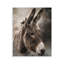 Plaque murale «All Ears», par Robin-Lee Viera
