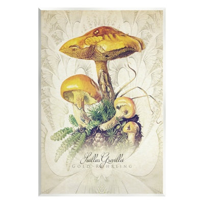 Stupell Industries, art scientifique allemand sur plaque de champignon par Steve Hunziker-au-758