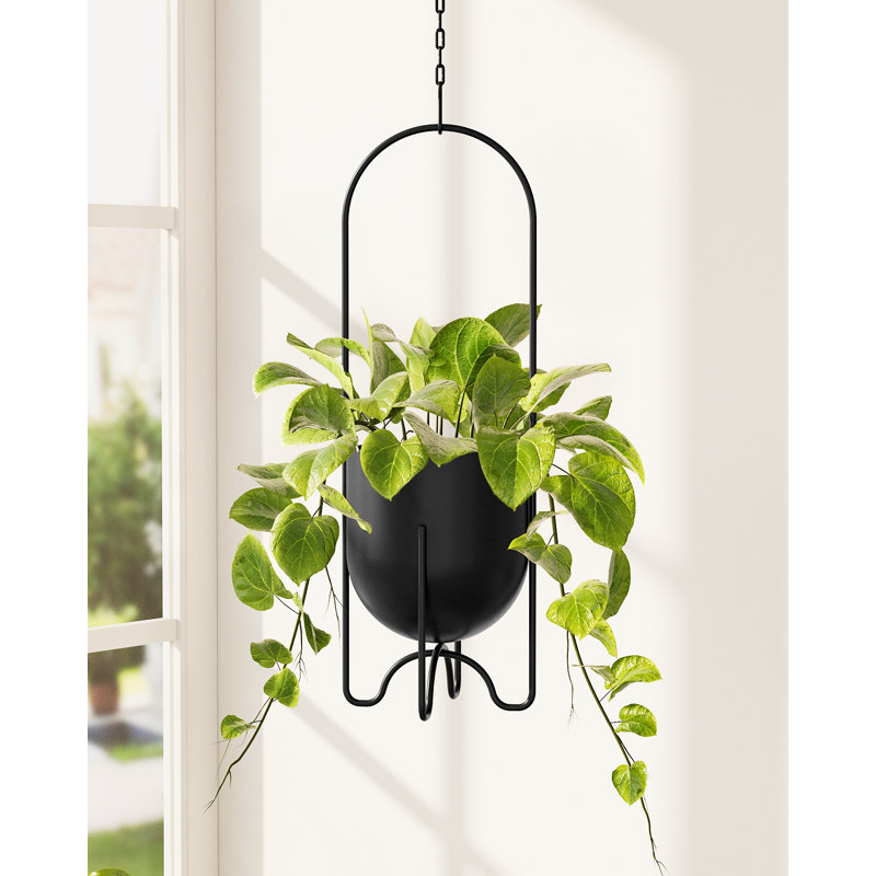 Boîte à fleurs blanche suspendue en métal de 5 pouces, fenêtre intérieure / extérieure, porche, balcon, table - sans chaînes ni crochets