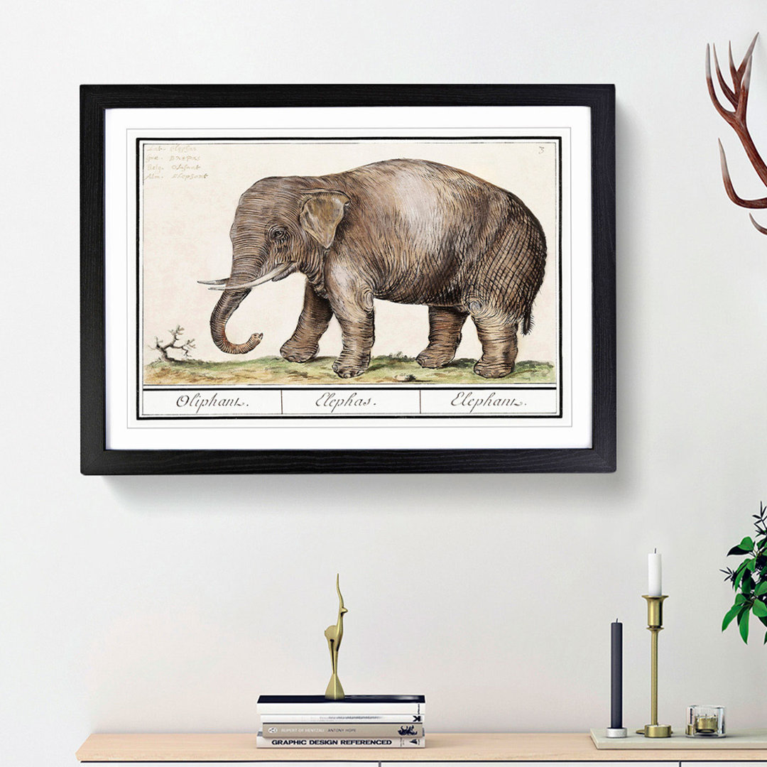 Asian Elephant by A.B. De Boodt - Picture Frame Painting Print