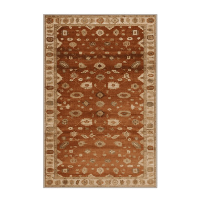 Machine Washable Overdyed Brown Area Rug