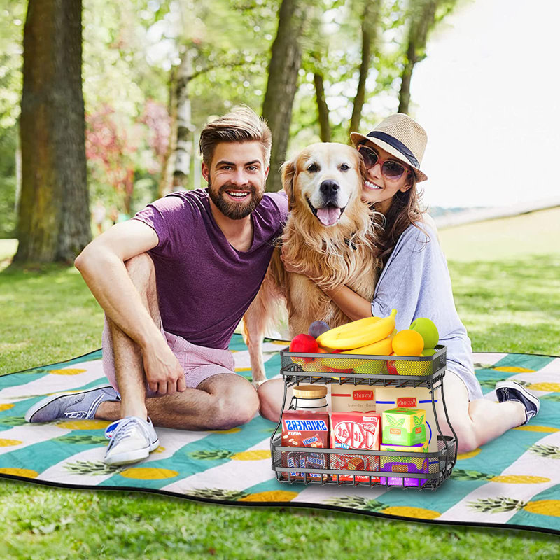 Rebrilliant Naziah Metal Fruit Basket