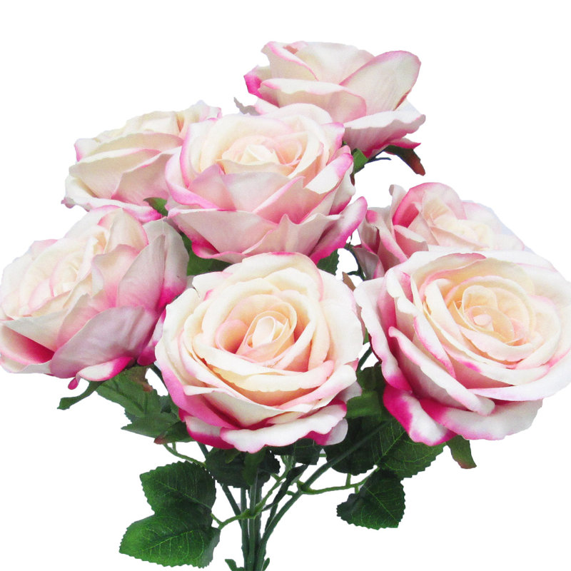 Velours rosier, Rosé