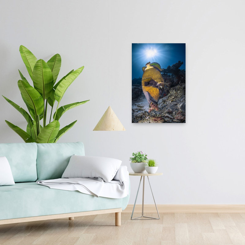 Titan Triggerfish Sunburst Colorful Vibrant Abstract Fish Nature Ocean Wall Art Print 1 Piece Wrapped Canvas Wall Art