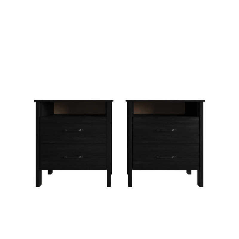 Alamosa 2 Drawer Nightstand (Set Of 2), Black