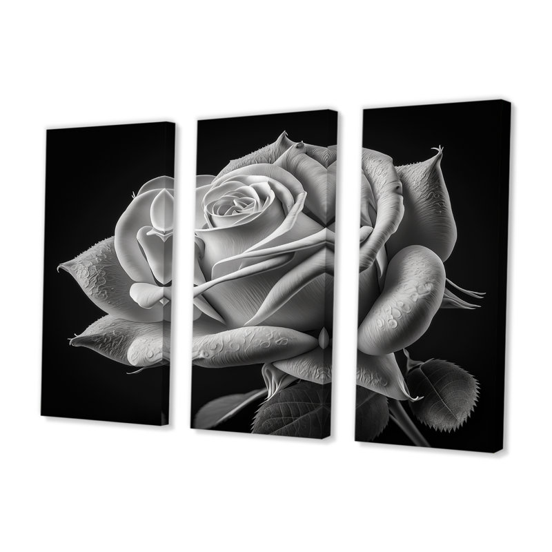 «Blossoming White Rose On Black I», impression sur toile tendue de 3 pièces, H 20 po x l 36 po x P 1 po
