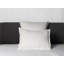 Lineare Sham-81131405-81131404