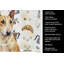 Serviette de cuisine Coffee Bar-1234933839
