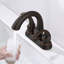 Topcraft Stainless Steel Two Handle Bathroom Faucet With Pop-Up Drainer