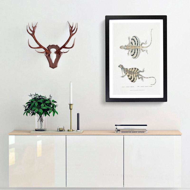 Dragon Lizard by John Edward Gray - Picture Frame Painting Print, 65cm H x 48cm W x 2cm D, Black Framed