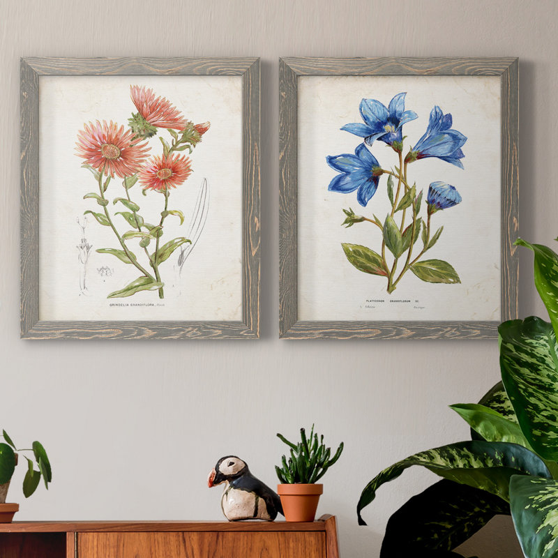 «Botanical I», ensemble de 2 reproductions d'art, Pas de tapis, Toile avec cadre gris, H 20 po x l 17 po x P 1 po