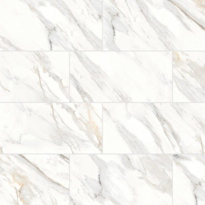 Shandar 12" x 24" Porcelain Marble Look Wall Floor Use Tile in Arezzo Bianco