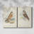 Hawk Owl-Premium Gallery Wrapped Canvas -Ready to Hang