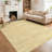 Machine Washable Area Rug for Living Room Modern Solid Color Throw Carpet for Bedroom Dining Room-429869070-435424475