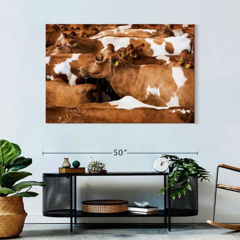 Brampt Guernsey Cows, 32" H x 48" W