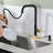 ARCORA Single Handle Pull Down Kitchen Faucet with Soap Dispenser and Deck Plate-98475391