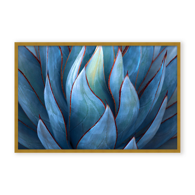 Nature Inspired Blue Agave Abstract by  - Picture Frame Graphic Art on Paper, 16" H x 24" W x 1.125" D, Black