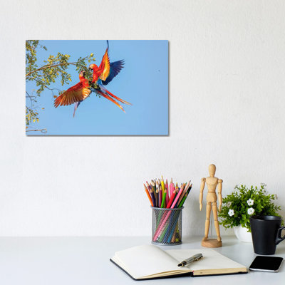 Central America, Costa Rica. Scarlet Macaw Pair In Tree. by Jaynes Gallery - Wrapped Canvas Gallery-Wrapped Canvas Giclée