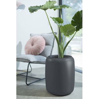 Pure Beads Pot Planter