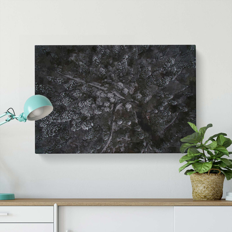 Moody Winter Forest - Wrapped Canvas, 35cm H x 50cm W x 3cm D