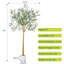 Arbre artificiel 10 pi - Arbre en soie artificiel réaliste avec tronc de bois et fruits, plante artificielle d'intérieur et d'extérieur 10 pi-40459094