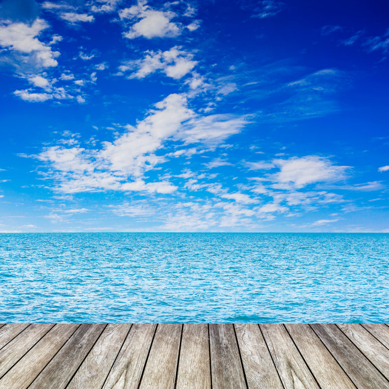 Wood Beauty Seascape by Tortoon - Wrapped Canvas Print, 91cm H x 91cm W