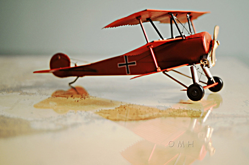 1917 Baron Fokker Triplan