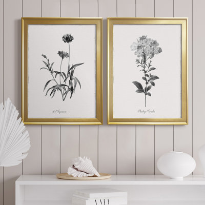 " Simply Imperial " 2 - Pieces