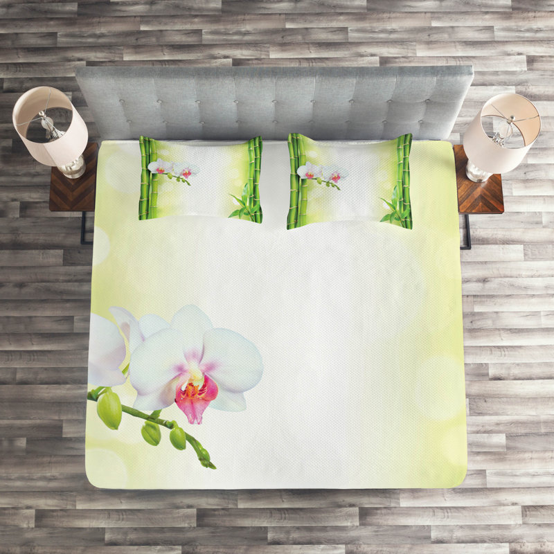 Coverlet