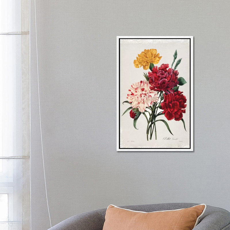 Botanical Bouquet Carnations by Carol Robinson - Print on Canvas, White Framed, 66.04 cm H x 45.72 cm W