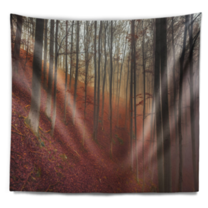Paysage brumeux en tapisserie forêt enchantée, H 68 po x l 80 po