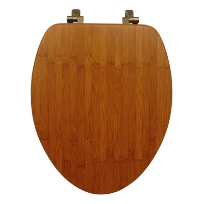 Elongated Toilet Seat and Lid