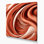 Biomorphic Abstraction 11 Brown Canvas Wall Art
