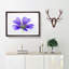 Purple Geranium Flower - Picture Frame Painting Print-56841978-56841975