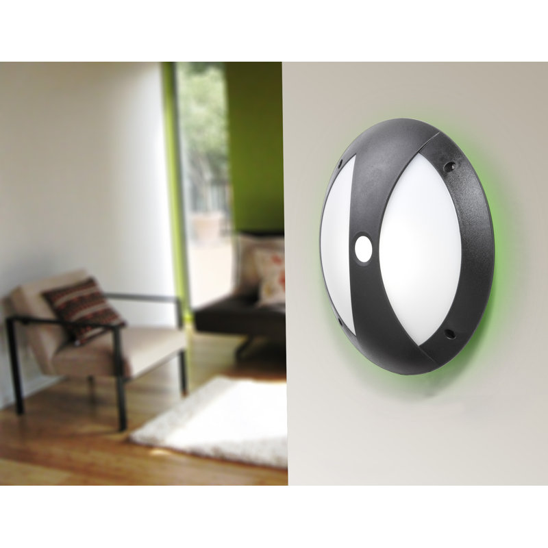 Telly Outdoor Bulkhead Light, Black, Incandescent