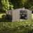 Durable Metal Sheds With Sunlit Windows, Modern Backyard Storage Solution