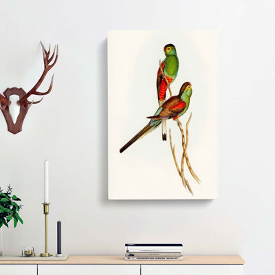 Beautiful Parakeets by Elizabeth Gould - Wrapped Canvas Painting