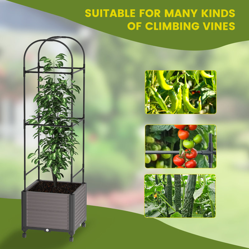 Carlinda Raised Garden Bed Planter Box With Wheels,Tomato Cage Planter With Trellis