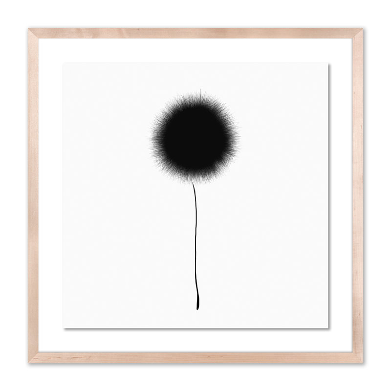 Black Dandelion Print by Aga Siguni Ciszewska, 24" H x 24" W x 1.5" D, Natural