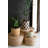  Checkered Clay Planters with Trays Set of 3 – 11" Tall