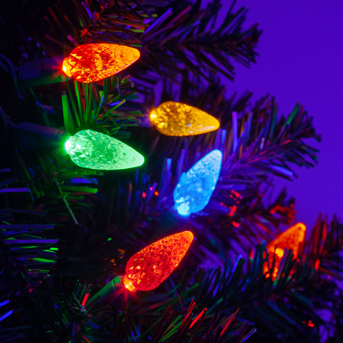 70-Light C6 LED Christmas String Lights, Multicolor