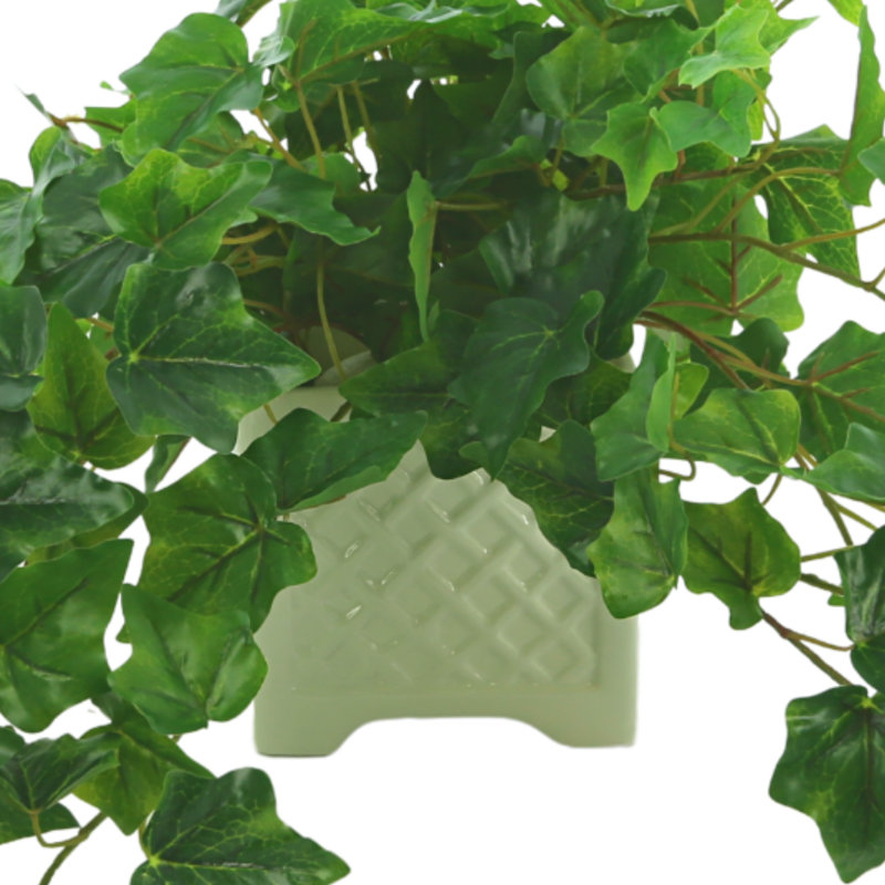 Oakes Faux Ivy Plant in Ceramic Pot