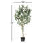 Arbre à fleurs vert olive Vickerman-73286564