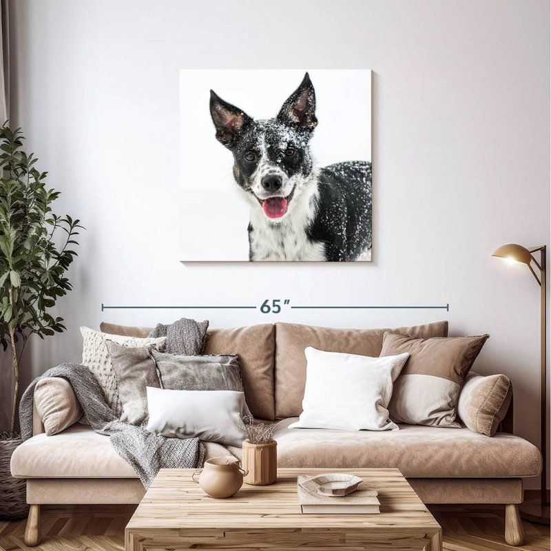Brampt Snow Covered Border Collie, 36" H x 36" W