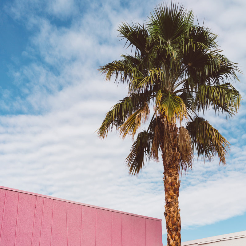 Palm Springs Vibes, Cadre flottant noir, Non, H 30 po x l 30 po x P 2 po