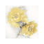Flower Bloom In Yellow II by Jesse Stevens - Wrapped Canvas Painting-42159202