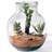 Glass Kitchen Canisters & Storage Jars Jar Canister-141395550