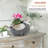 Rieger Statue Planter-687549430